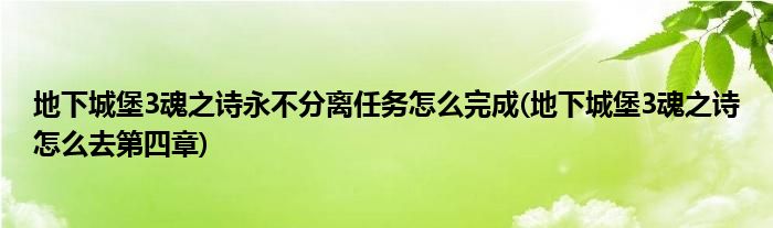 地下城堡3魂之詩永不分離任務(wù)怎么完成(地下城堡3魂之詩怎么去第四章)