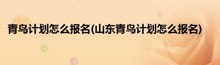 青鳥(niǎo)計(jì)劃怎么報(bào)名(山東青鳥(niǎo)計(jì)劃怎么報(bào)名)