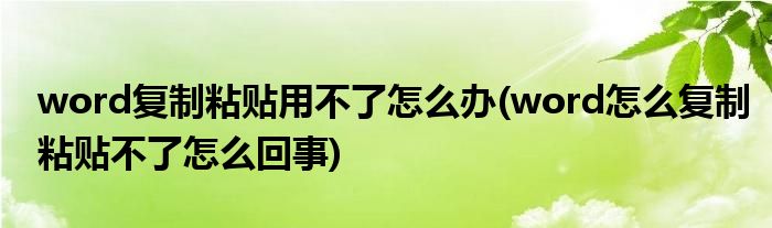 word復(fù)制粘貼用不了怎么辦(word怎么復(fù)制粘貼不了怎么回事)