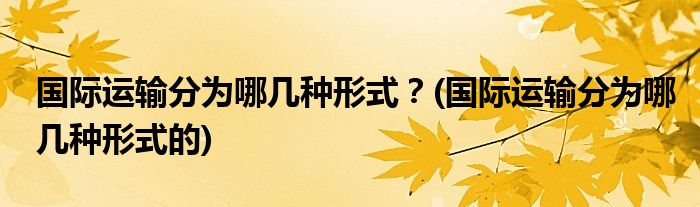 國際運(yùn)輸分為哪幾種形式？(國際運(yùn)輸分為哪幾種形式的)