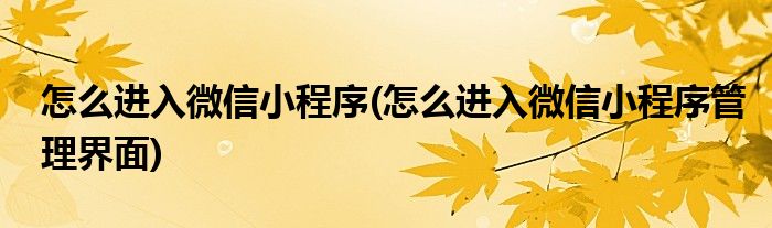 怎么進(jìn)入微信小程序(怎么進(jìn)入微信小程序管理界面)