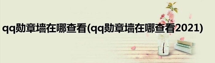 qq勛章墻在哪查看(qq勛章墻在哪查看2021)