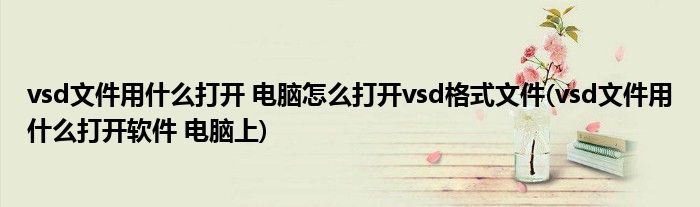 vsd文件用什么打開 電腦怎么打開vsd格式文件(vsd文件用什么打開軟件 電腦上)