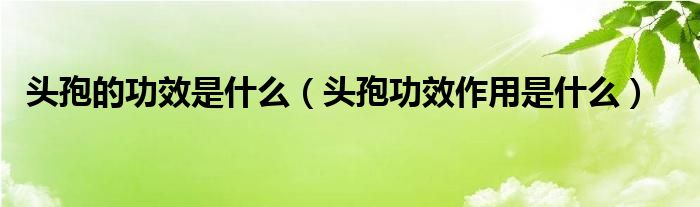 頭孢的功效是什么（頭孢功效作用是什么）