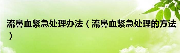 流鼻血緊急處理辦法（流鼻血緊急處理的方法）