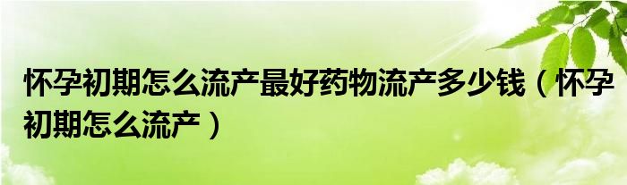 懷孕初期怎么流產最好藥物流產多少錢（懷孕初期怎么流產）