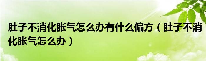 肚子不消化脹氣怎么辦有什么偏方（肚子不消化脹氣怎么辦）