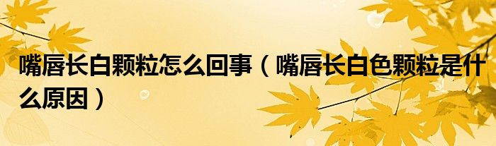 嘴唇長白顆粒怎么回事（嘴唇長白色顆粒是什么原因）