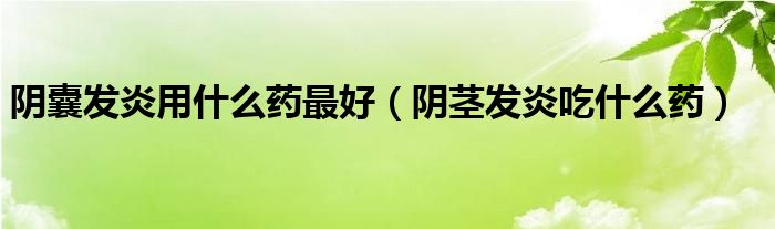 陰囊發(fā)炎用什么藥最好（陰莖發(fā)炎吃什么藥）