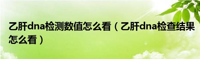 乙肝dna檢測數(shù)值怎么看（乙肝dna檢查結(jié)果怎么看）