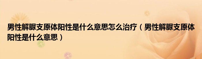 男性解脲支原體陽性是什么意思怎么治療（男性解脲支原體陽性是什么意思）