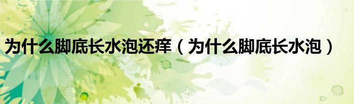 為什么腳底長(zhǎng)水泡還癢（為什么腳底長(zhǎng)水泡）