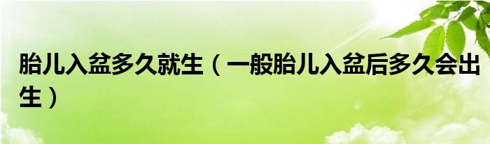 胎兒入盆多久就生（一般胎兒入盆后多久會出生）