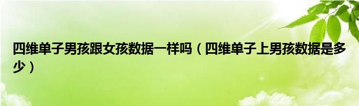 四維單子男孩跟女孩數據一樣嗎（四維單子上男孩數據是多少）