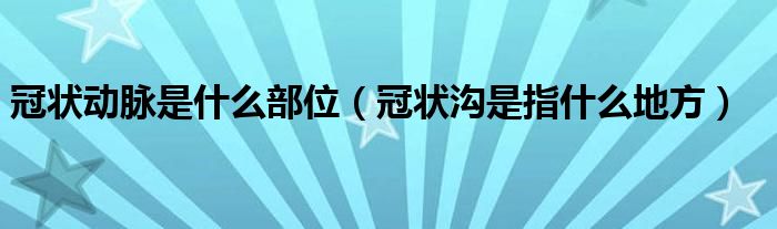 冠狀動脈是什么部位（冠狀溝是指什么地方）