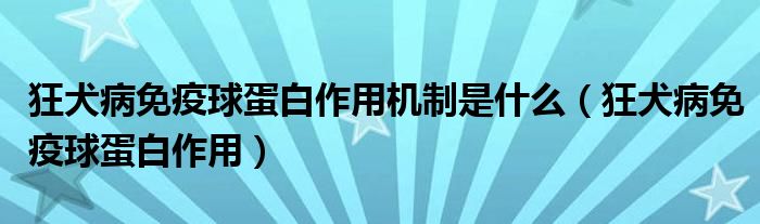 狂犬病免疫球蛋白作用機(jī)制是什么（狂犬病免疫球蛋白作用）