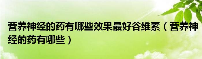 營(yíng)養(yǎng)神經(jīng)的藥有哪些效果最好谷維素（營(yíng)養(yǎng)神經(jīng)的藥有哪些）