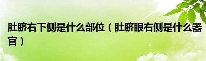 肚臍右下側(cè)是什么部位（肚臍眼右側(cè)是什么器官）