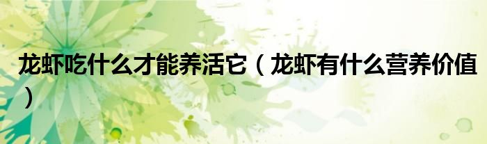 龍蝦吃什么才能養(yǎng)活它（龍蝦有什么營養(yǎng)價值）