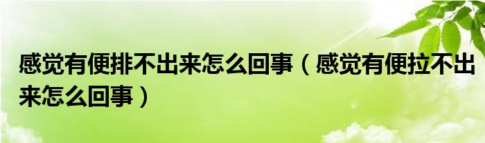 感覺有便排不出來怎么回事（感覺有便拉不出來怎么回事）