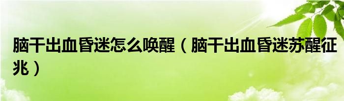 腦干出血昏迷怎么喚醒（腦干出血昏迷蘇醒征兆）