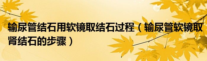 輸尿管結(jié)石用軟鏡取結(jié)石過程（輸尿管軟鏡取腎結(jié)石的步驟）