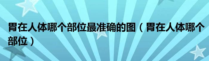 胃在人體哪個(gè)部位最準(zhǔn)確的圖（胃在人體哪個(gè)部位）