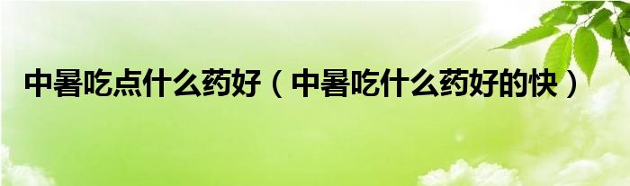 中暑吃點(diǎn)什么藥好（中暑吃什么藥好的快）