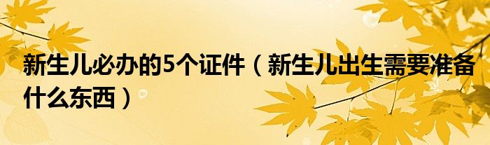 新生兒必辦的5個(gè)證件（新生兒出生需要準(zhǔn)備什么東西）