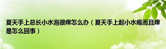 夏天手上總長小水泡很癢怎么辦（夏天手上起小水皰而且癢是怎么回事）