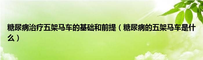 糖尿病治療五架馬車(chē)的基礎(chǔ)和前提（糖尿病的五架馬車(chē)是什么）