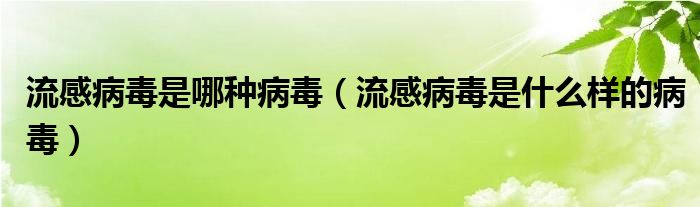 流感病毒是哪種病毒（流感病毒是什么樣的病毒）