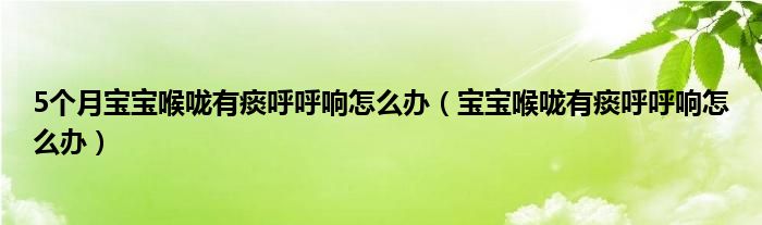 5個月寶寶喉嚨有痰呼呼響怎么辦（寶寶喉嚨有痰呼呼響怎么辦）