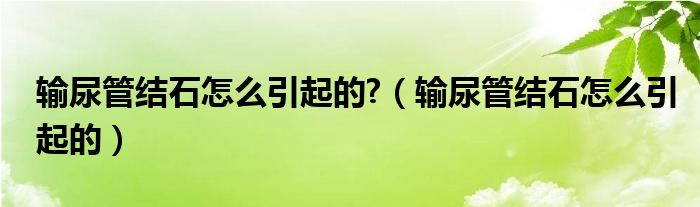 輸尿管結(jié)石怎么引起的?（輸尿管結(jié)石怎么引起的）