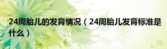 24周胎兒的發(fā)育情況（24周胎兒發(fā)育標準是什么）