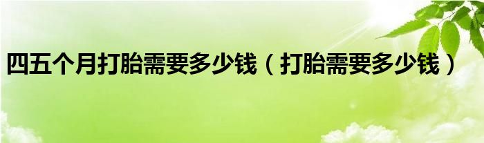 四五個(gè)月打胎需要多少錢(qián)（打胎需要多少錢(qián)）