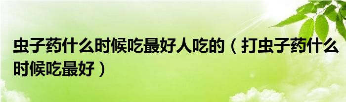 蟲子藥什么時(shí)候吃最好人吃的（打蟲子藥什么時(shí)候吃最好）