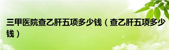 三甲醫(yī)院查乙肝五項多少錢（查乙肝五項多少錢）