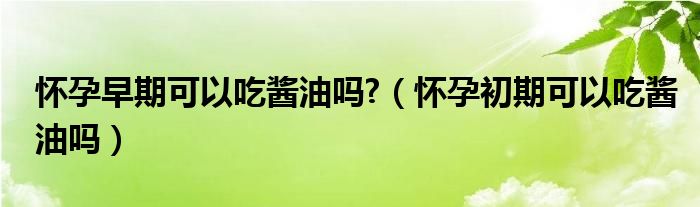 懷孕早期可以吃醬油嗎?（懷孕初期可以吃醬油嗎）