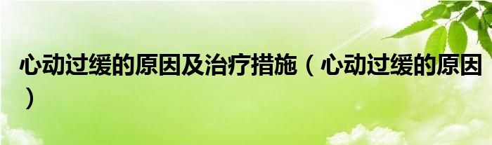 心動(dòng)過(guò)緩的原因及治療措施（心動(dòng)過(guò)緩的原因）