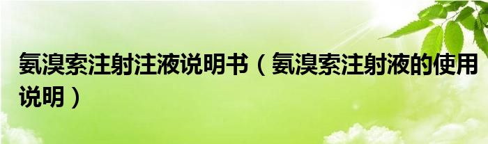 氨溴索注射注液說明書（氨溴索注射液的使用說明）