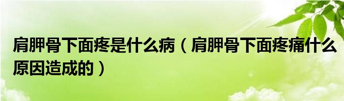 肩胛骨下面疼是什么?。珉喂窍旅嫣弁词裁丛蛟斐傻模?class='thumb lazy' /></a>
		    <header>
		<h2><a  href=