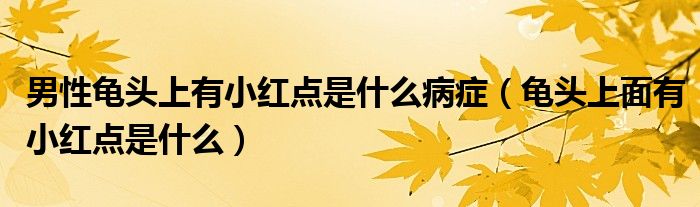 男性龜頭上有小紅點(diǎn)是什么病癥（龜頭上面有小紅點(diǎn)是什么）