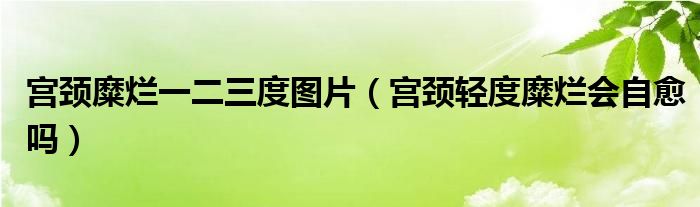 宮頸糜爛一二三度圖片（宮頸輕度糜爛會自愈嗎）