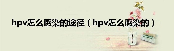 hpv怎么感染的途徑（hpv怎么感染的）