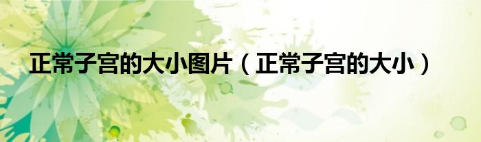 正常子宮的大小圖片（正常子宮的大?。?class='thumb lazy' /></a>
		    <header>
		<h2><a  href=