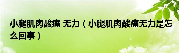 小腿肌肉酸痛 無力（小腿肌肉酸痛無力是怎么回事）