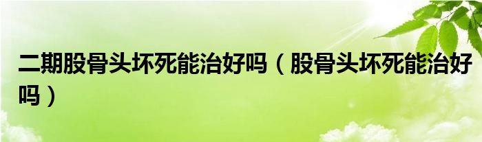 二期股骨頭壞死能治好嗎（股骨頭壞死能治好嗎）