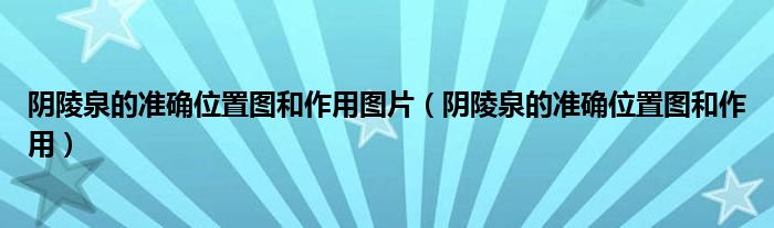 陰陵泉的準(zhǔn)確位置圖和作用圖片（陰陵泉的準(zhǔn)確位置圖和作用）