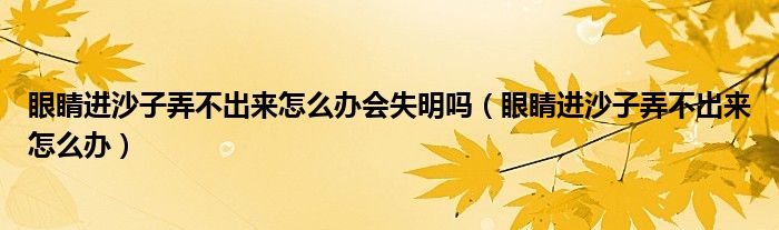 眼睛進(jìn)沙子弄不出來怎么辦會(huì)失明嗎（眼睛進(jìn)沙子弄不出來怎么辦）